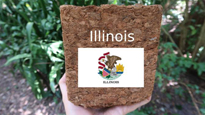 Illinois