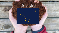 Alaska